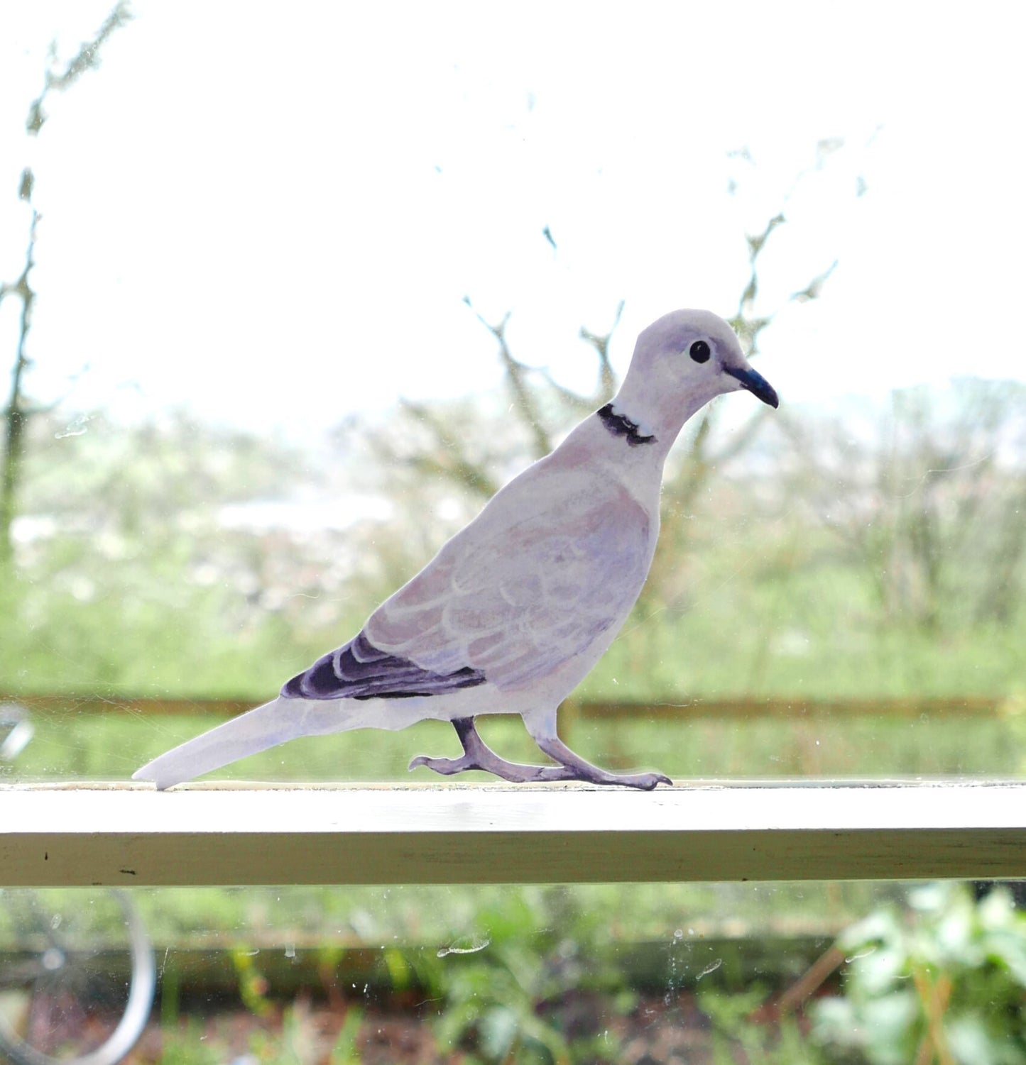 Dove decal perched on a branch with a blurred natural background