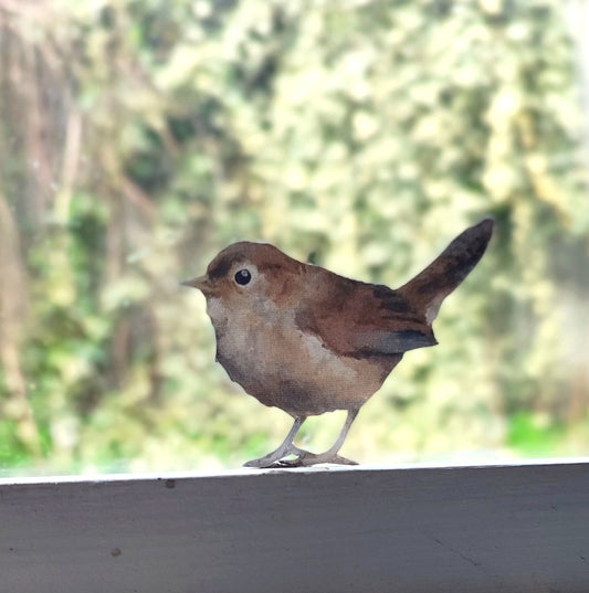 a wall decal of realistic wren stuck on a window with greenery behind